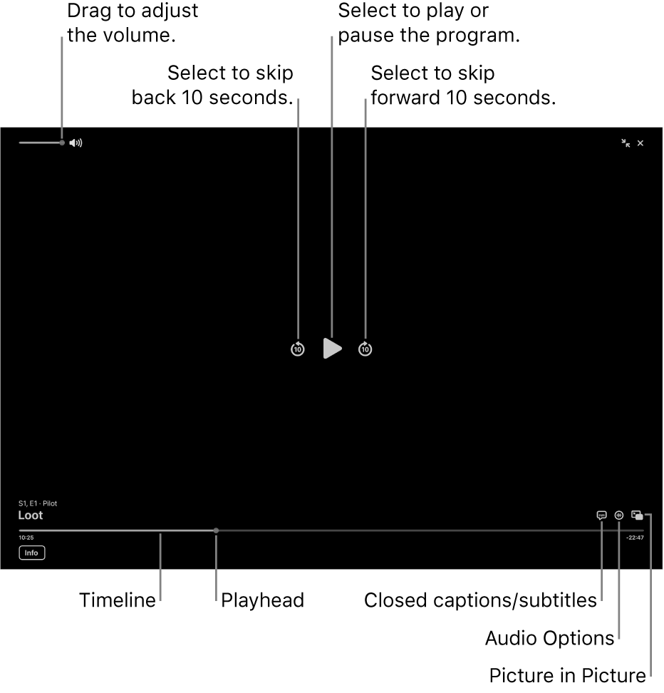 Playback controls in the viewer, including buttons to play or pause, skip forward or backward, and adjust volume.