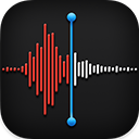 The Voice Memos icon.