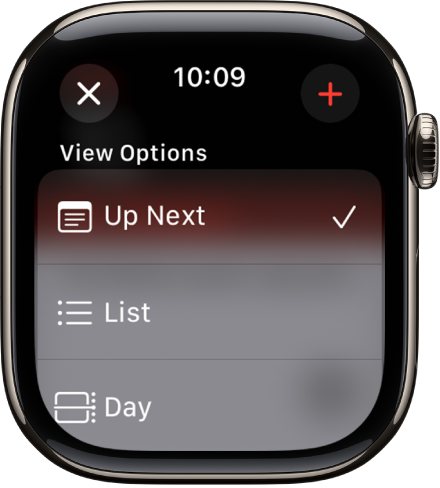 Calendar screen showing View Options—Up Next, List, and Day. The Add button is at the top right.