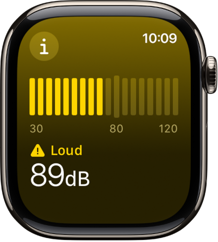 The Noise app showing a sound meter and a sound level of 89 decibels with the word “Loud” above.