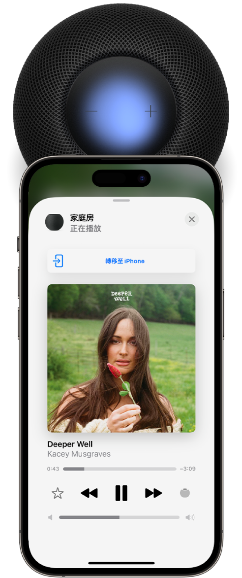 iPhone 在 HomePod 頂部附近。在 iPhone 的螢幕上，在 HomePod 上播放的歌曲上方出現「轉移至 iPhone」按鈕。