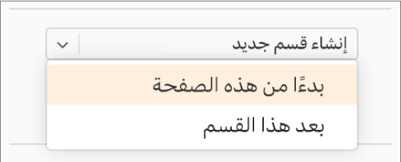 القائمة المنبثقة "إنشاء قسم جديد" مفتوحة، والخيار "بدءًا من هذه الصفحة" محدد.