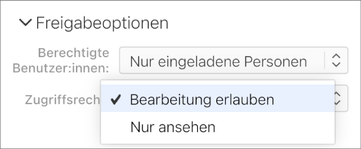 Das Einblendmenü „Berechtigung“ unter „Freigabe-Optionen“ ist geöffnet, mit Optionen, die es Personen erlauben, das Dokument zu ändern oder es nur anzusehen.