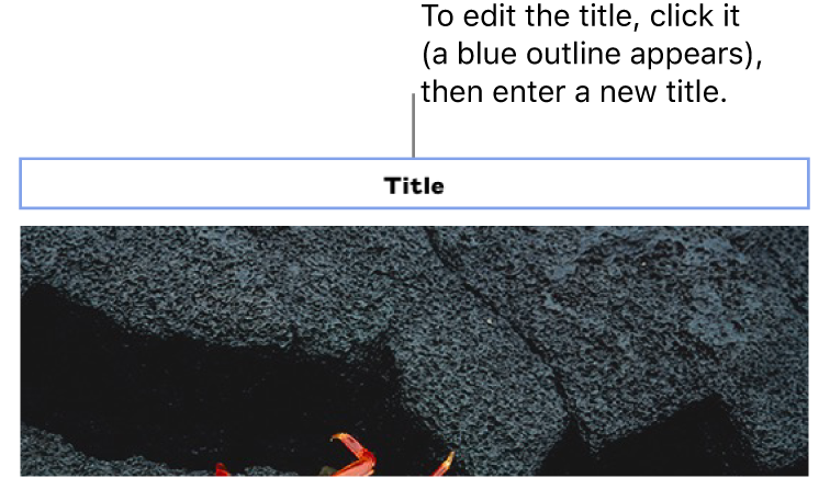 The placeholder title, “Title,” appears above a photo; a blue outline around the title field shows its selected.