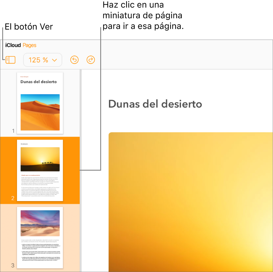 Vista Miniaturas de páginas en el lado izquierdo de la pantalla con una página seleccionada. El botón Visualización está en la barra de herramientas encima de las miniaturas.