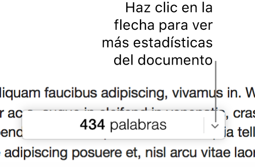 Menú emergente con estadísticas del documento en el que se muestra el recuento de palabras.