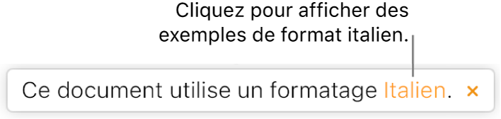 Message indiquant « Le format de ce document est : italien ».