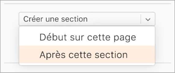 Le menu local Créer une section s’ouvre, et l’option Après cette section est sélectionnée.