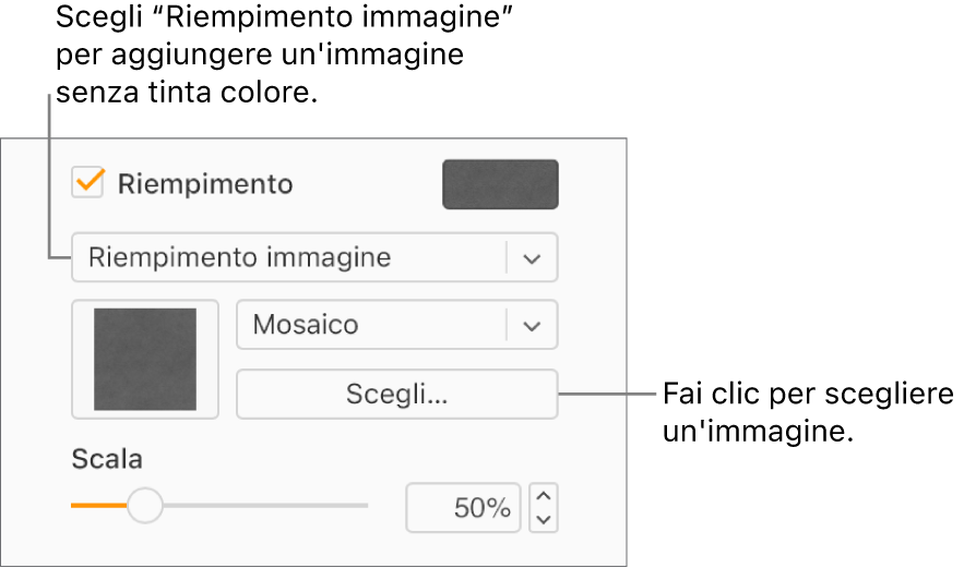 Il riquadro Riempimento è selezionato nella barra laterale, e Riempimento immagine è selezionato nel menu a comparsa sotto il riquadro. I controlli per scegliere l’immagine, la sua scala e come riempire l’oggetto vengono visualizzati nel menu a comparsa. Un’anteprima del riempimento dell’immagine viene visualizzata nel quadrato (dopo aver selezionato un’immagine).