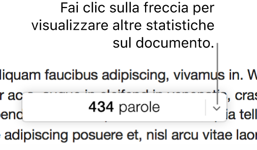 Menu a comparsa delle statistiche del documento che mostra il conteggio parole.
