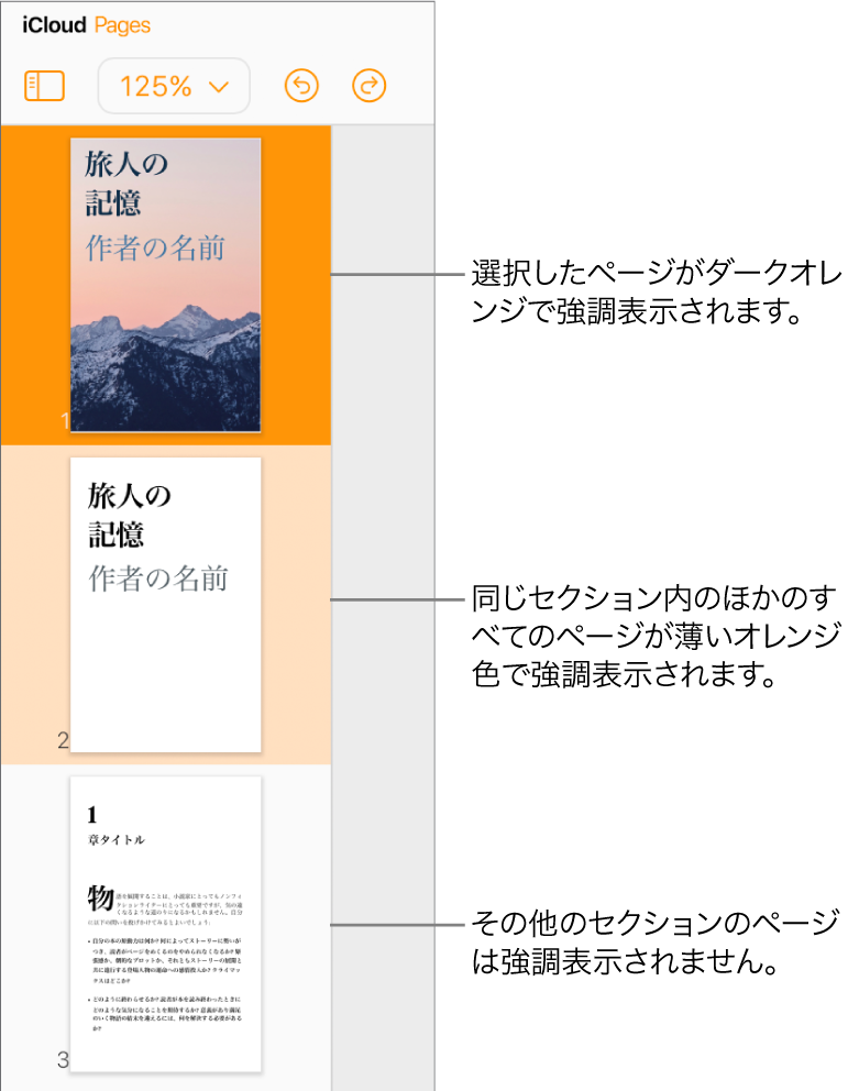 左サイドバーのページのサムネールには、選択したページが濃いオレンジ色で、同じセクションのもう一方のページが薄いオレンジ色で強調表示されています。別のセクションに属するページの背後には、ハイライトは表示されません。