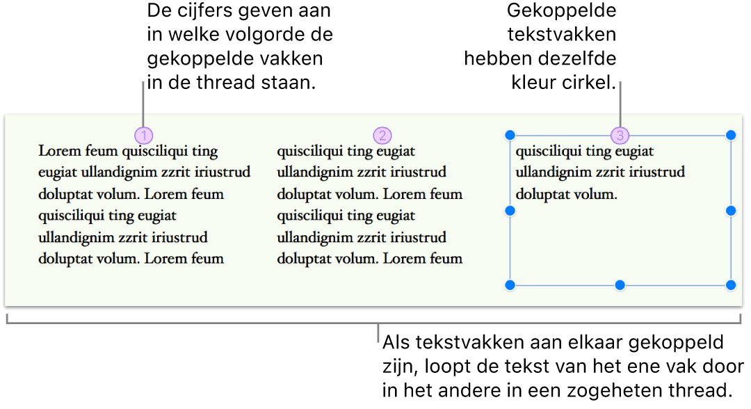 Drie gekoppelde tekstvakken met tekst die naast elkaar op de pagina zijn geplaatst. Boven elk tekstvak staat een paarse cirkel, met een nummer dat aangeeft welke plaats dit tekstvak in de thread heeft.