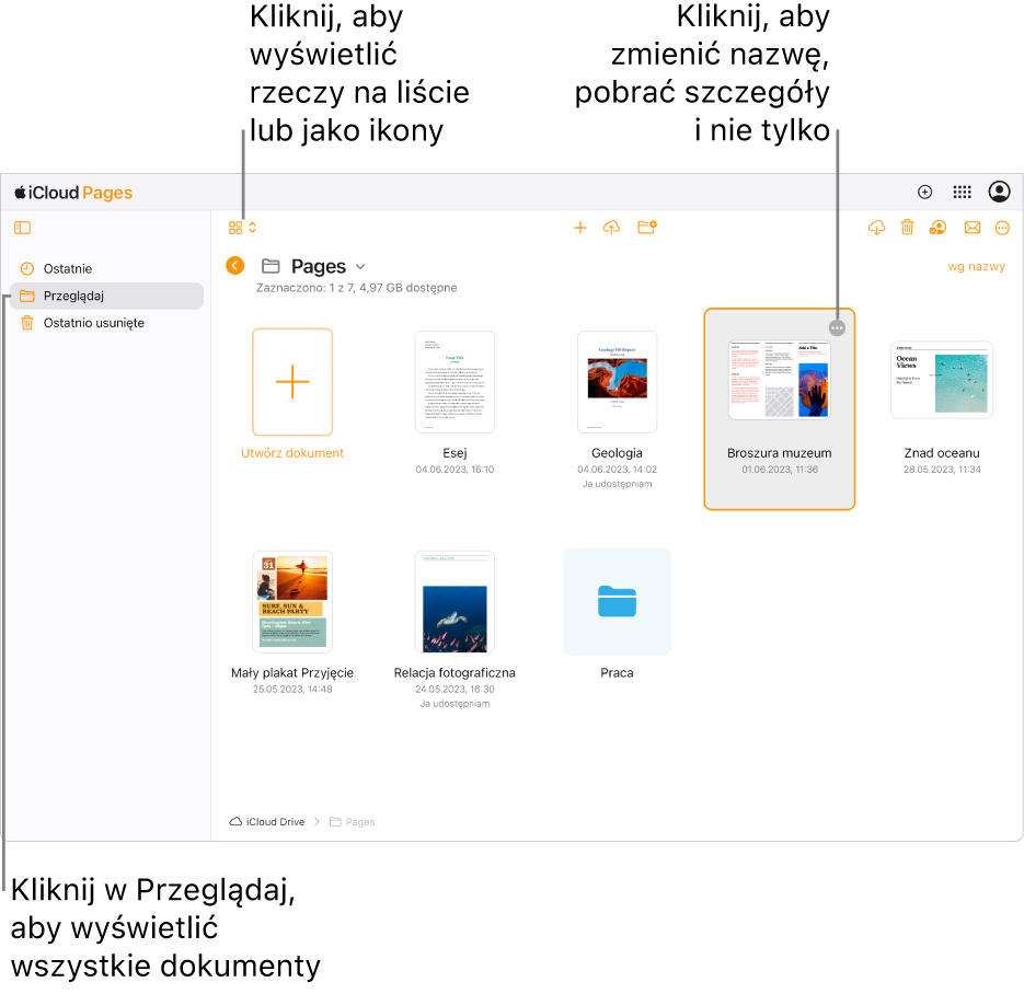 Menedżer dokumentów w widoku przeglądania, pokazujący dokumenty Pages jako ikony w siatce. W prawym górnym rogu wybranego dokumentu widoczny jest przycisk Więcej (trzy kropki). Nad dokumentami, z lewej strony paska narzędzi, jest menu podręczne, z którego można wybrać wyświetlanie rzeczy jako ikony lub listę. Z prawej strony paska narzędzi są przyciski umożliwiające pobieranie, współpracę, wysyłanie wiadomości e-mail lub usuwanie pozycji.