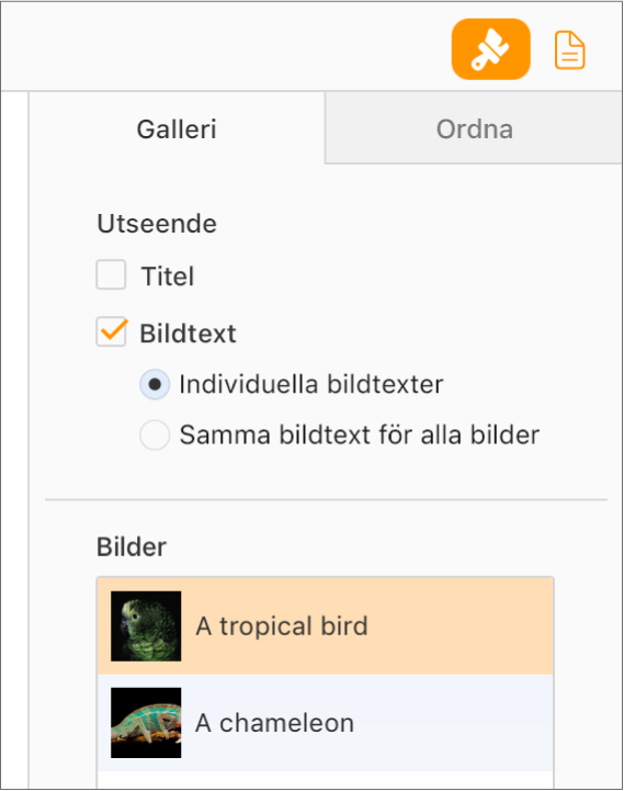 Fliken Galleri i sidofältet Format. Kryssrutan Bildtexter är markerad och det finns alternativ att ha individuella bildtexter för varje bild, eller samma bildtext för alla bilder. Under kontrollerna finns miniatyrer av varje bild med dess bildtext till höger.