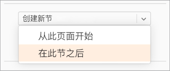 “创建新节”弹出式菜单已打开，并已选中“在此节之后”。