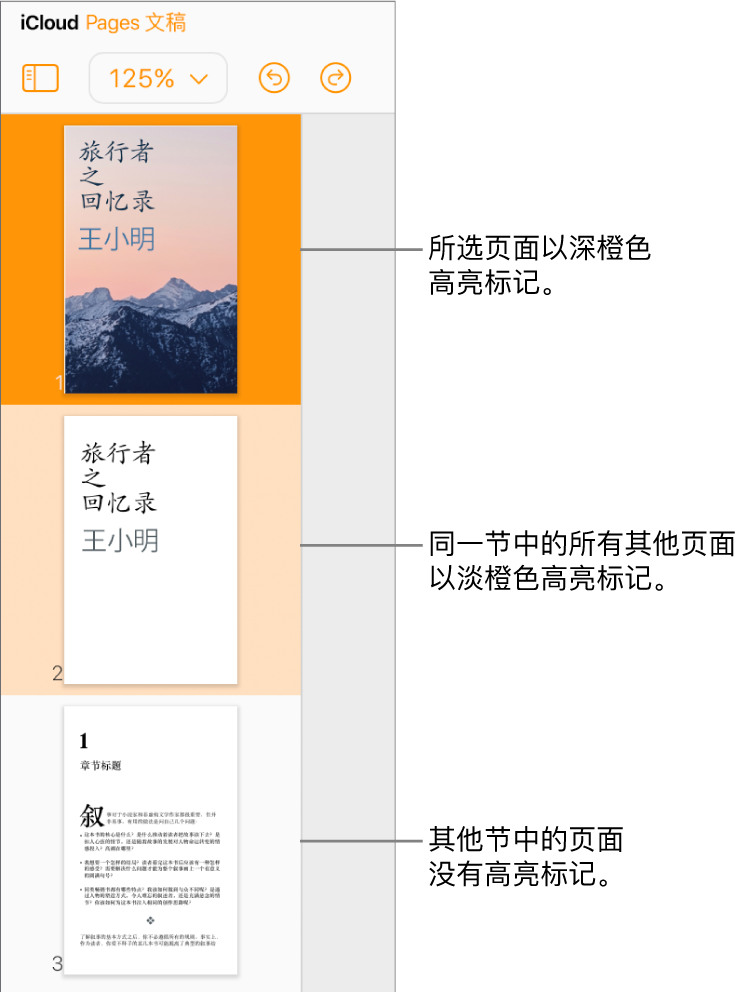 左侧边栏中的页面缩略图，使用暗橘色着重显示的选中页面和同一部分中使用亮橘色着重显示的另一个页面。位于不同节的页面未使用高亮标记效果。