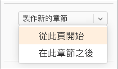 「製作新的章節」彈出式選單開啟，且已選取「從此頁開始」。