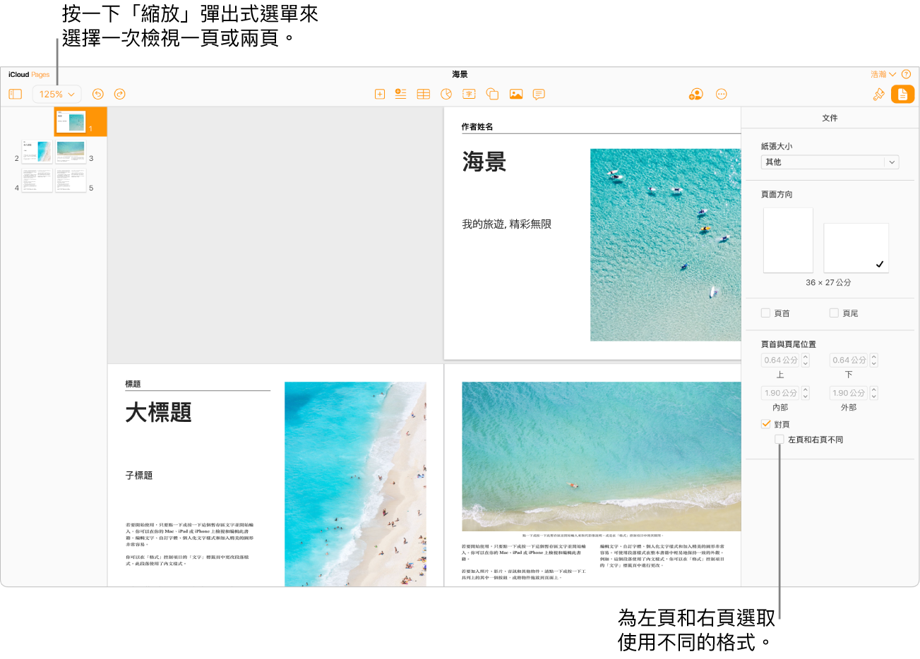 具有頁面縮覽圖的 iCloud 版 Pages 視窗，文件頁面為跨頁查看。在右側的「文件」側邊欄中，「左頁和右頁不同」註記框為未選取狀態。