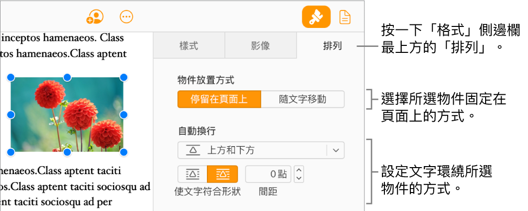 已於文件內文中選取一張影像；「格式」側邊欄的「排列」標籤頁顯示物件設定為「停留在頁面上」，文字則於物件的上方和下方圍繞。