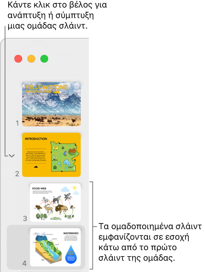 Ο πλοηγός σλάιντ όπου φαίνονται σλάιντ με εσοχές.