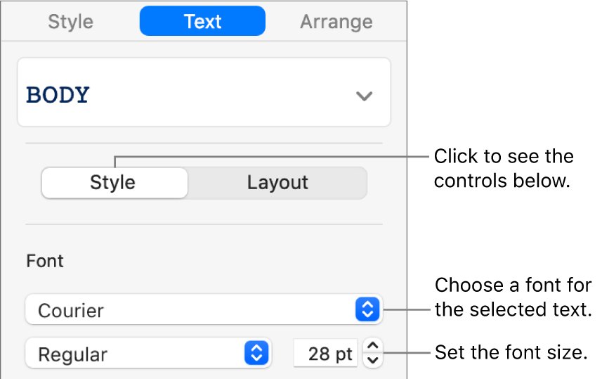 Text controls in the Style section of the sidebar for setting font and font size.