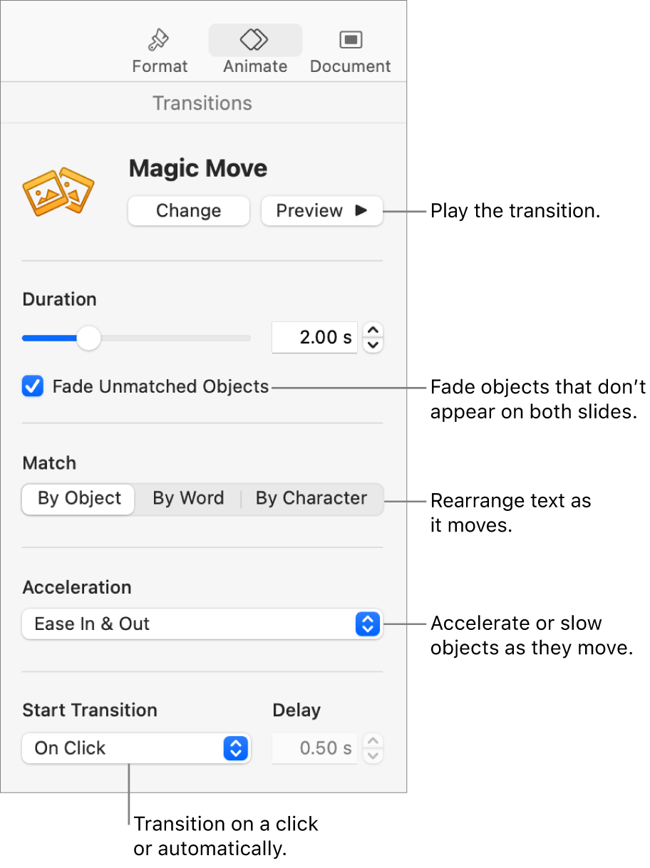 Magic Move transition controls in the Transitions section of the Animate sidebar.