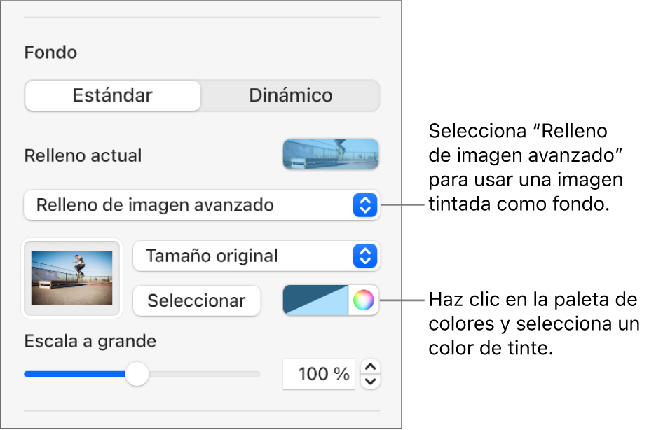 Los controles de Fondo con la opción “Relleno de imagen avanzado” establecida como el fondo de la diapositiva.