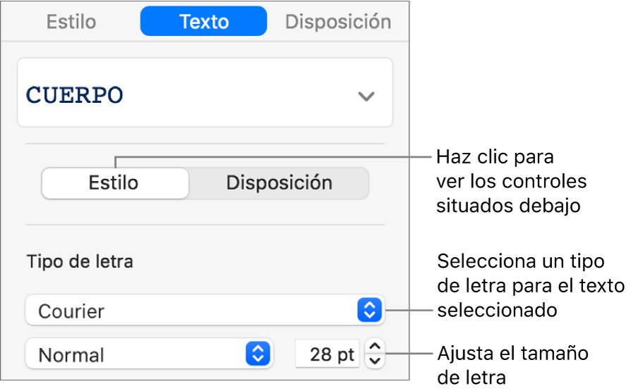 Controles de texto de la sección Estilo de la barra lateral para ajustar el tamaño y el tipo de letra.