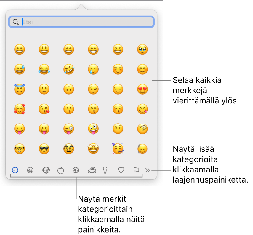 Erikoismerkkien ponnahdusikkuna, jossa näkyy hymiöitä, painikkeita erityyppisille symboleille alaosassa ja selite painikkeelle, joka näyttää koko Merkit-ikkunan.