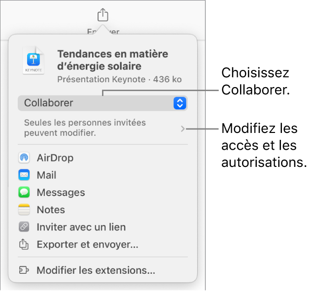 Le menu Partager avec l’option Collaborer sélectionnée en haut, et des réglages d’accès et d’autorisation en dessous.