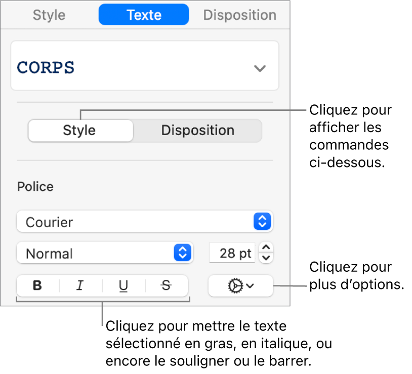 Commandes Styles de la barre latérale avec les légendes des boutons Gras, Italique, Souligné et Barré.