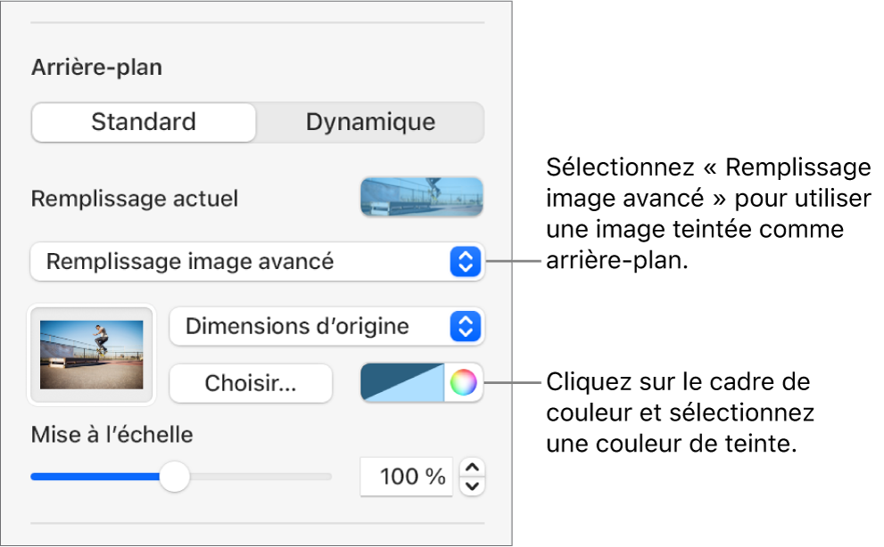 Les commandes Arrière-plan avec une image teintée de type Remplissage image avancé définie comme arrière-plan de la diapositive.