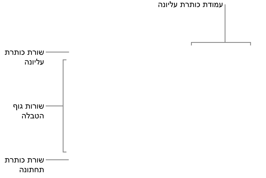 טבלה עם שורות ועמודות כותרת עליונה, גוף טבלה וכותרת תחתונה ועם ידיות אחיזה להוספה או מחיקה של שורות או עמודות.