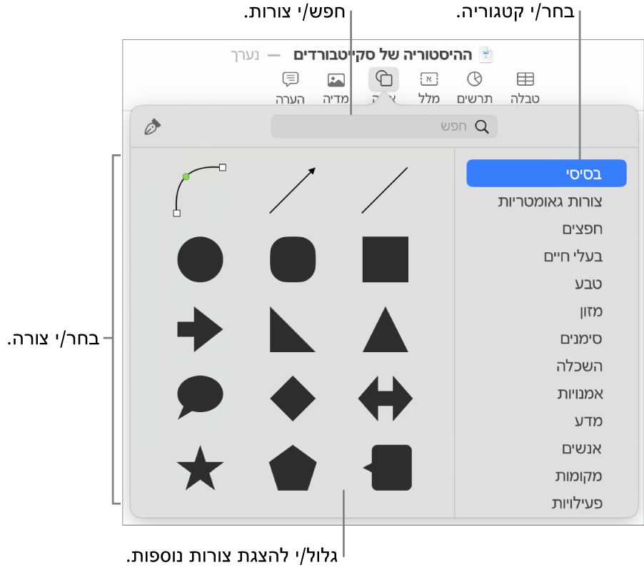 ספריית הצורות, כשקטגוריות מפורטות מצד שמאל וצורות מוצגות מצד ימין. ניתן להשתמש בשדה החיפוש בראש המסך כדי למצוא צורות ולגלול כדי להציג עוד.