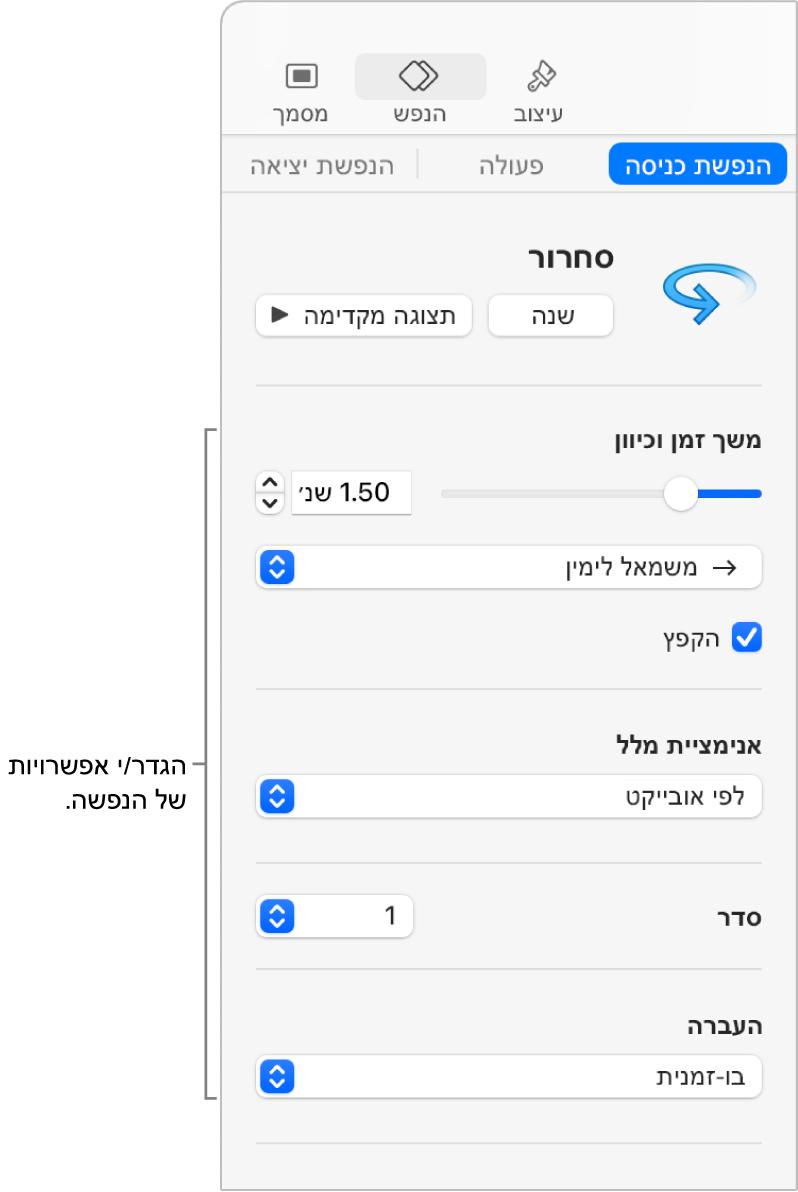 אפשרויות הנפשת כניסה במקטע ״הנפש״ בסרגל הצד.