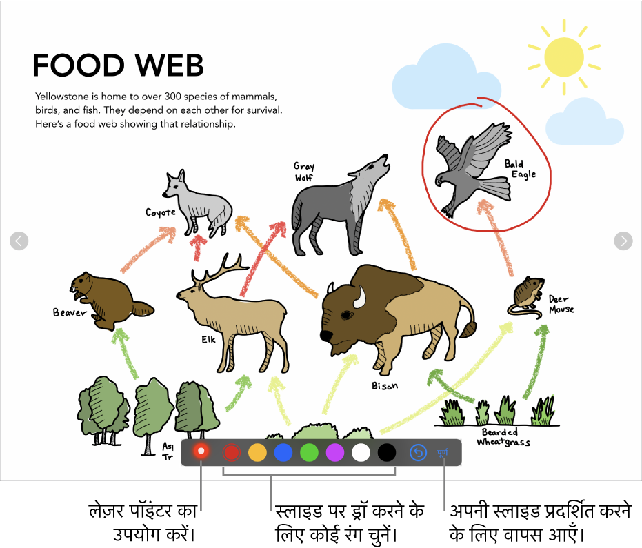 लेजर पॉइंटर और रंग चयन नियंत्रण दिखाता स्लाइड दृष्टांत मोड में स्लाइड।