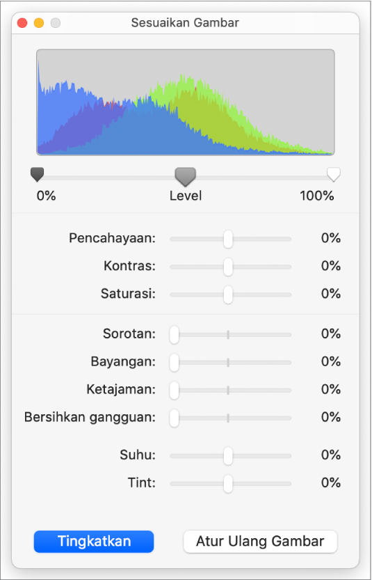 Jendela Sesuaikan Gambar dengan penggeser untuk mengatur pencahayaan, kontras, saturasi, sorotan, bayangan, pertajam, bersihkan gangguan, suhu, dan tint.