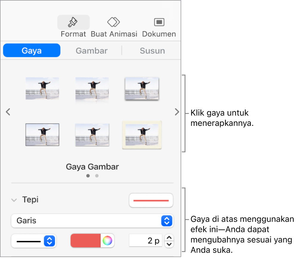 Tab Gaya pada bar samping Format menampilkan pilihan gaya objek.