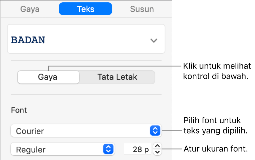 Kontrol teks di bagian Gaya pada bar samping untuk mengatur font dan ukuran font.