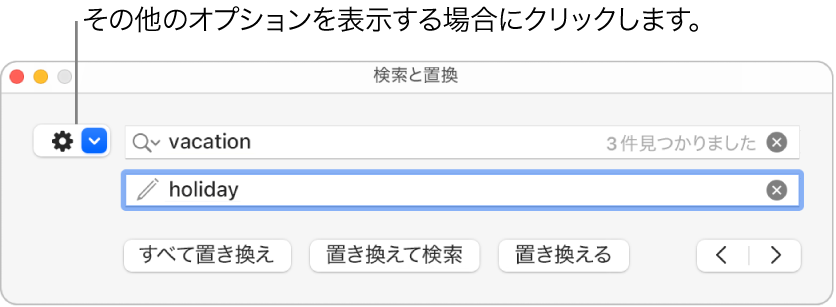 「検索と置換」ウインドウ。詳細オプションを表示するポップアップメニューのコールアウトが表示された状態。