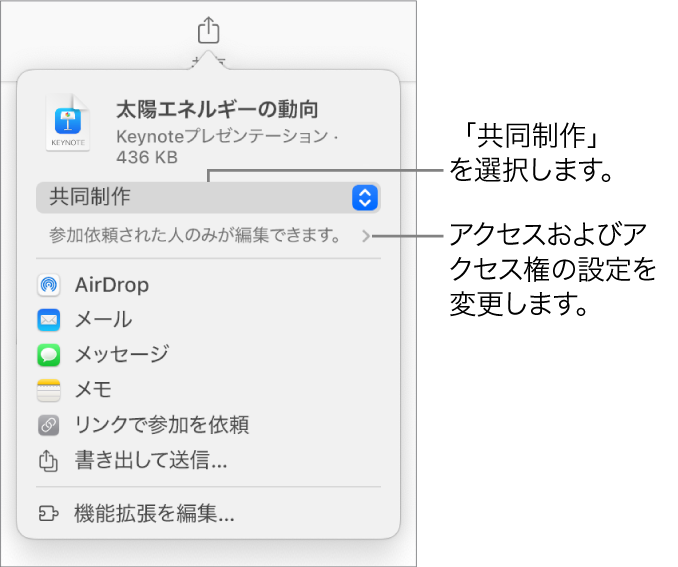 「共有」メニュー。上部の「共同作業」が選択されていて、下に参加対象とアクセス権の設定があります。