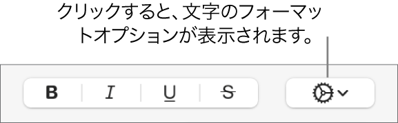 「ボールド」、「イタリック」、および「アンダーライン」ボタンの隣にある「詳細オプション」ボタン。