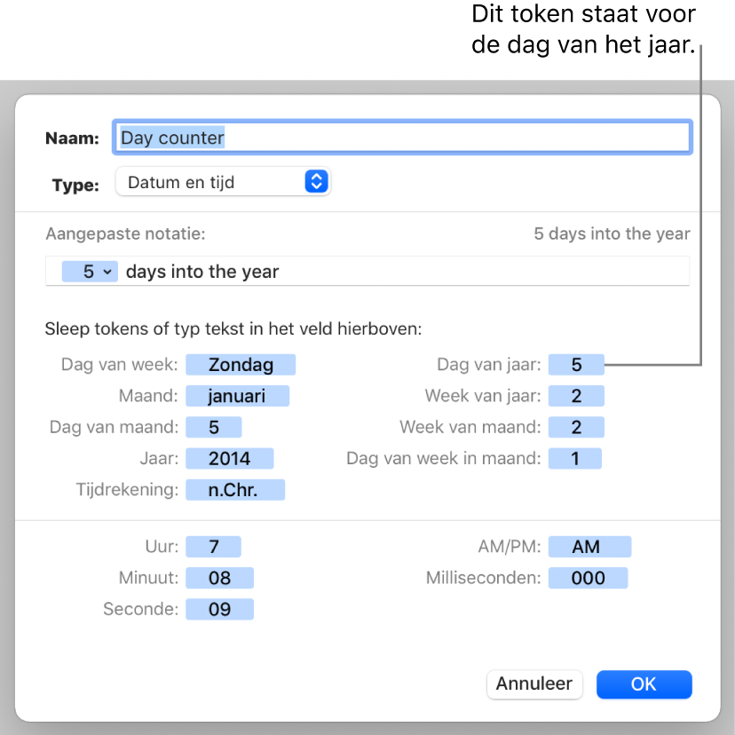 Het venster voor aangepaste celnotatie met regelaars voor het aanmaken van een aangepaste datum- en tijdnotatie.