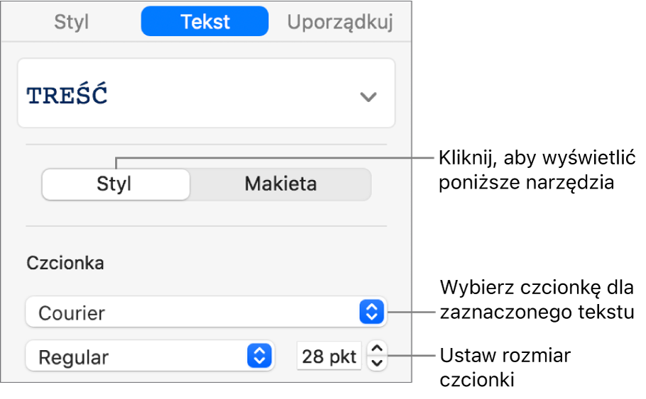 Narzędzia tekstu w sekcji Styl na pasku bocznym, pozwalające na ustawianie czcionki i jej wielkości.