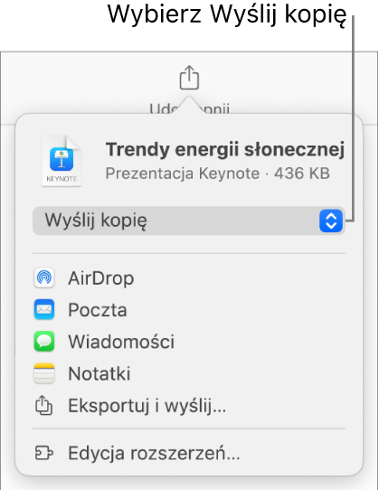 Menu udostępniania z wybraną opcją Wyślij kopię (na górze).