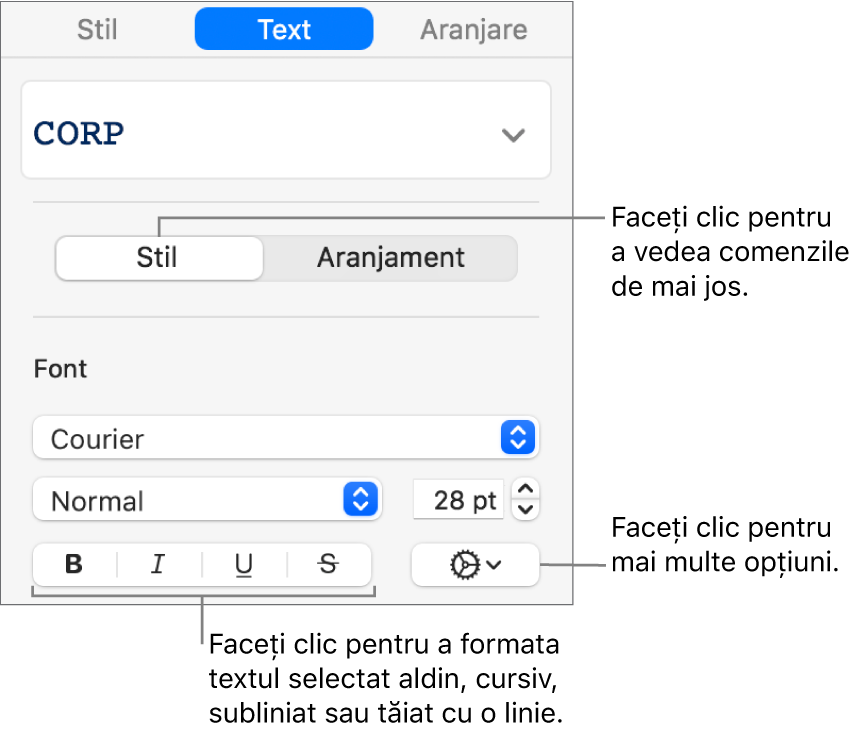 Comenzile pentru Stil din bara laterală cu explicații la butoanele Aldin, Cursiv, Subliniat și Tăiat cu o linie.