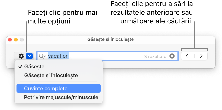 Fereastra Găsește și înlocuiește cu meniul pop-up afișând opțiunile Găsește, Găsește și înlocuiește, Cuvinte complete și Majuscule/minuscule. Săgețile din dreapta vă permit să treceți la rezultatele anterioare sau următoare ale căutării.