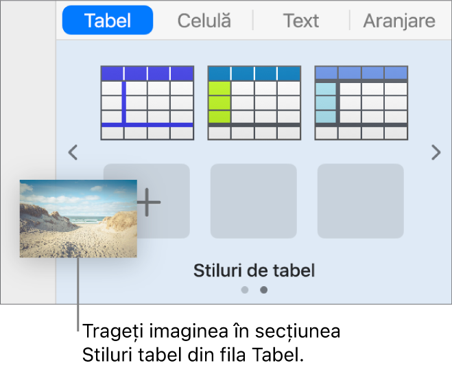 Tragerea unei imagini în stilurile de tabel pentru a crea un nou stil.