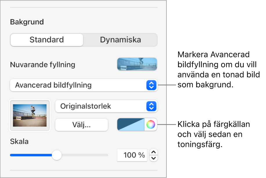 Bakgrundsreglagen med en tonad Avancerad bildfyllning inställd som diabildsbakgrund.