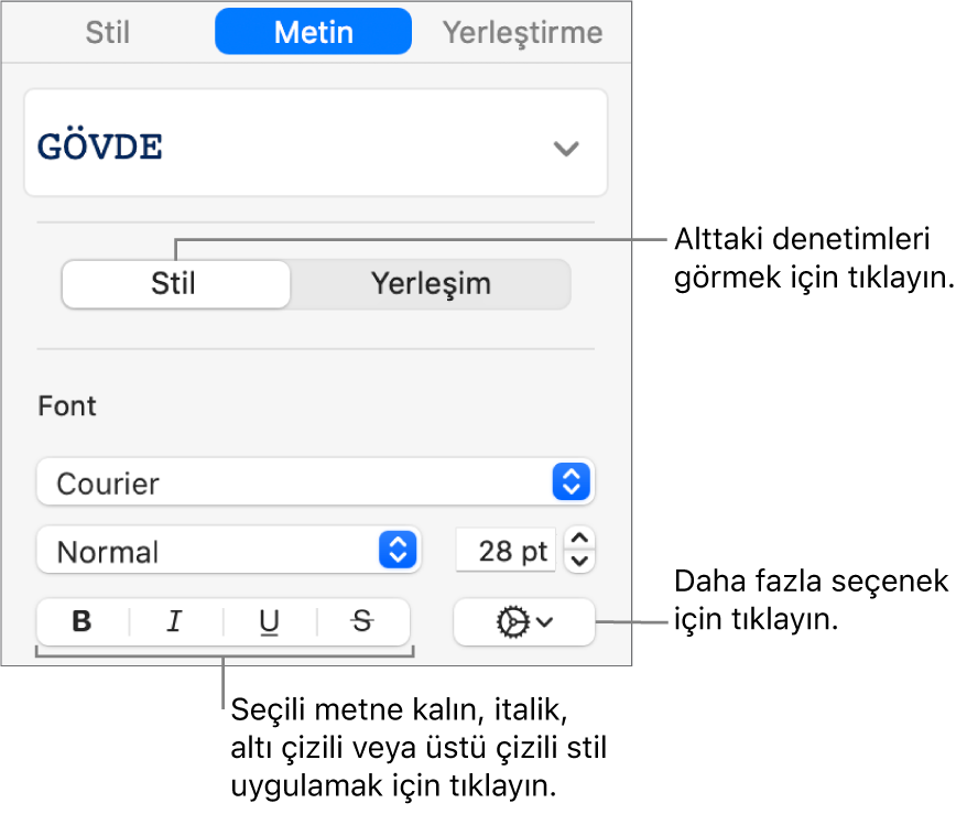 Kenar çubuğundaki Kalın, İtalik, Altı Çizili ve Üstü Çizili düğme belirtimlerini içeren Stil denetimleri.